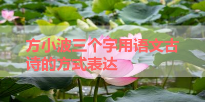 方小波三个字用语文古诗的方式表达 