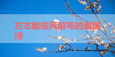 方志敏临死前写的爱国诗 