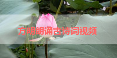 方明朗诵古诗词视频 