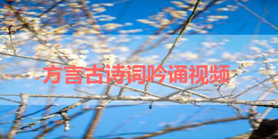 方言古诗词吟诵视频 