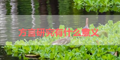 方言研究有什么意义 