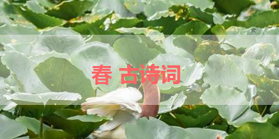 春 古诗词 
