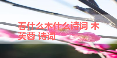 春什么木什么诗词 木芙蓉 诗词