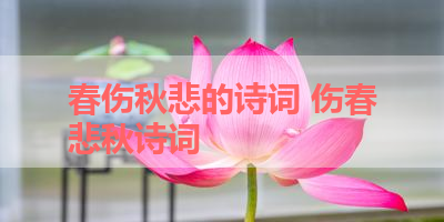 春伤秋悲的诗词 伤春悲秋诗词 