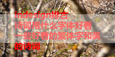 indesign排古诗词用什么字体好看 一些好看的繁体字和美的诗词 