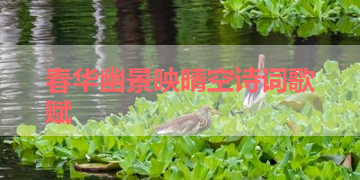 春华幽景映晴空诗词歌赋 