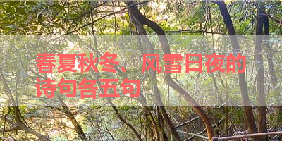 春夏秋冬、风雪日夜的诗句各五句 