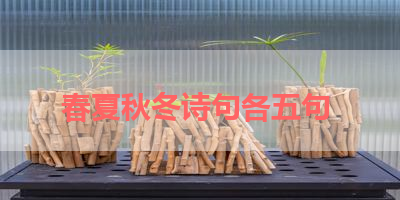 春夏秋冬诗句各五句 
