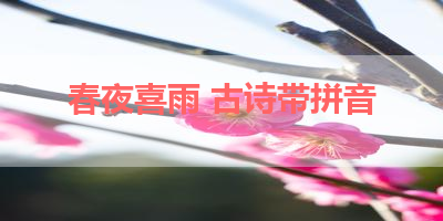 春夜喜雨 古诗带拼音 