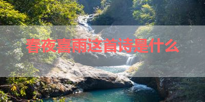 春夜喜雨这首诗是什么 