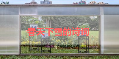 春天下雪的诗词 