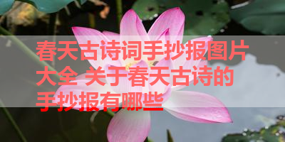 春天古诗词手抄报图片大全 关于春天古诗的手抄报有哪些 