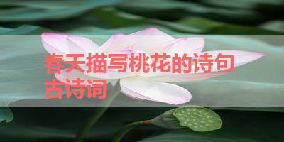 春天描写桃花的诗句 古诗词 
