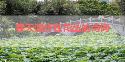 春天漫步在花丛的诗词 