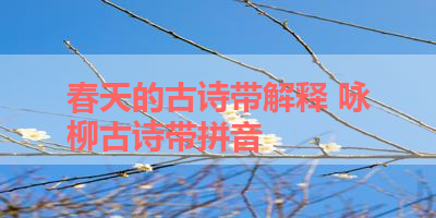 春天的古诗带解释 咏柳古诗带拼音
