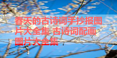 春天的古诗词手抄报图片大全集 古诗词配画图片大全集