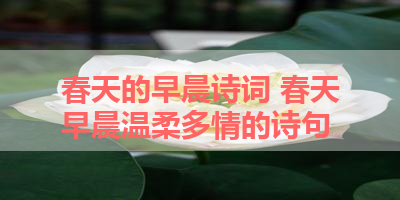 春天的早晨诗词 春天早晨温柔多情的诗句 