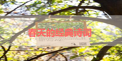 春天的经典诗词 