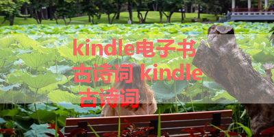 kindle电子书 古诗词 kindle 古诗词
