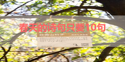 春天的诗句只要10句 