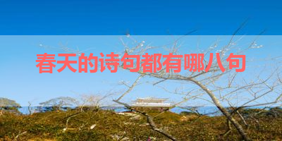 春天的诗句都有哪八句 