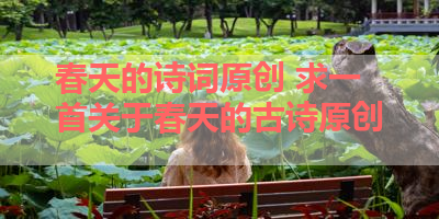 春天的诗词原创 求一首关于春天的古诗原创 