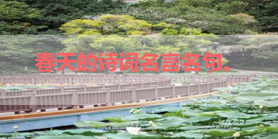 春天的诗词名言名句。 