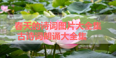 春天的诗词图片大全集 古诗词朗诵大全集