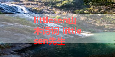 littlesen山木诗词 littlesen先生