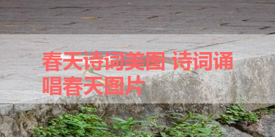 春天诗词美图 诗词诵唱春天图片