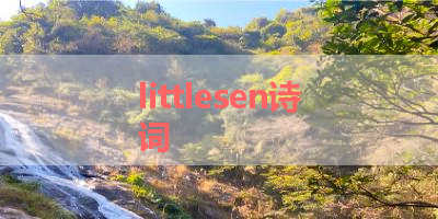 littlesen诗词 
