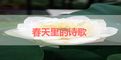 春天里的诗歌 