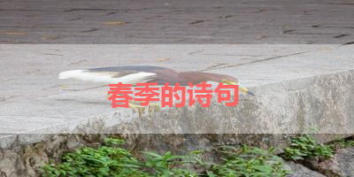 春季的诗句 
