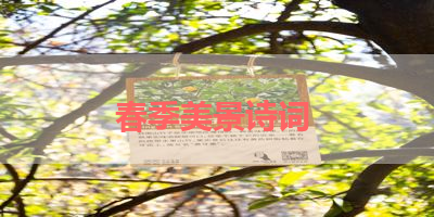 春季美景诗词 