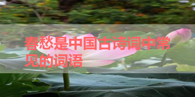 春愁是中国古诗词中常见的词语 