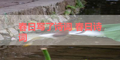 春日写了诗词 春日诗词