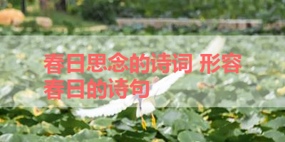 春日思念的诗词 形容春日的诗句 