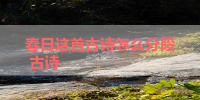 春日这首古诗怎么分段 古诗