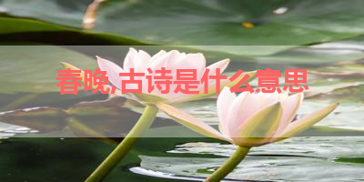 春晚,古诗是什么意思 