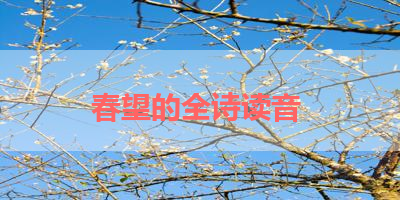 春望的全诗读音 