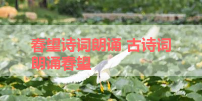 春望诗词朗诵 古诗词朗诵春望 