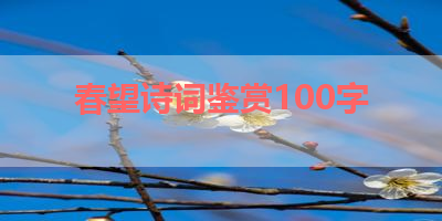春望诗词鉴赏100字 