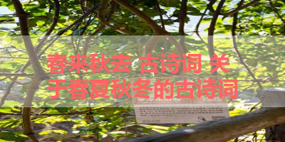 春来秋去 古诗词 关于春夏秋冬的古诗词