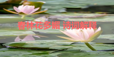 春林花多媚 诗词解释 