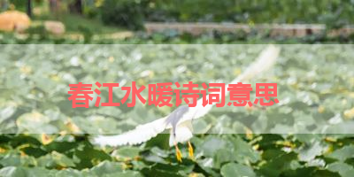 春江水暖诗词意思 