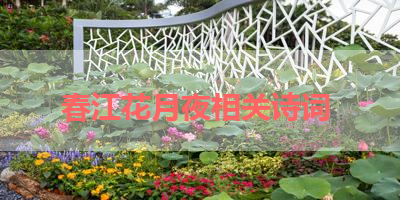 春江花月夜相关诗词 