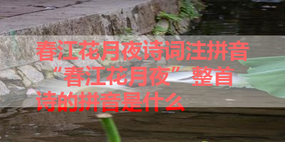 春江花月夜诗词注拼音 “春江花月夜”整首诗的拼音是什么 