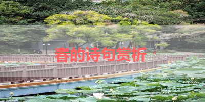 春的诗句赏析 