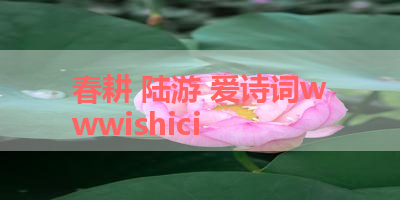 春耕 陆游 爱诗词wwwishici 