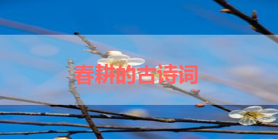 春耕的古诗词 